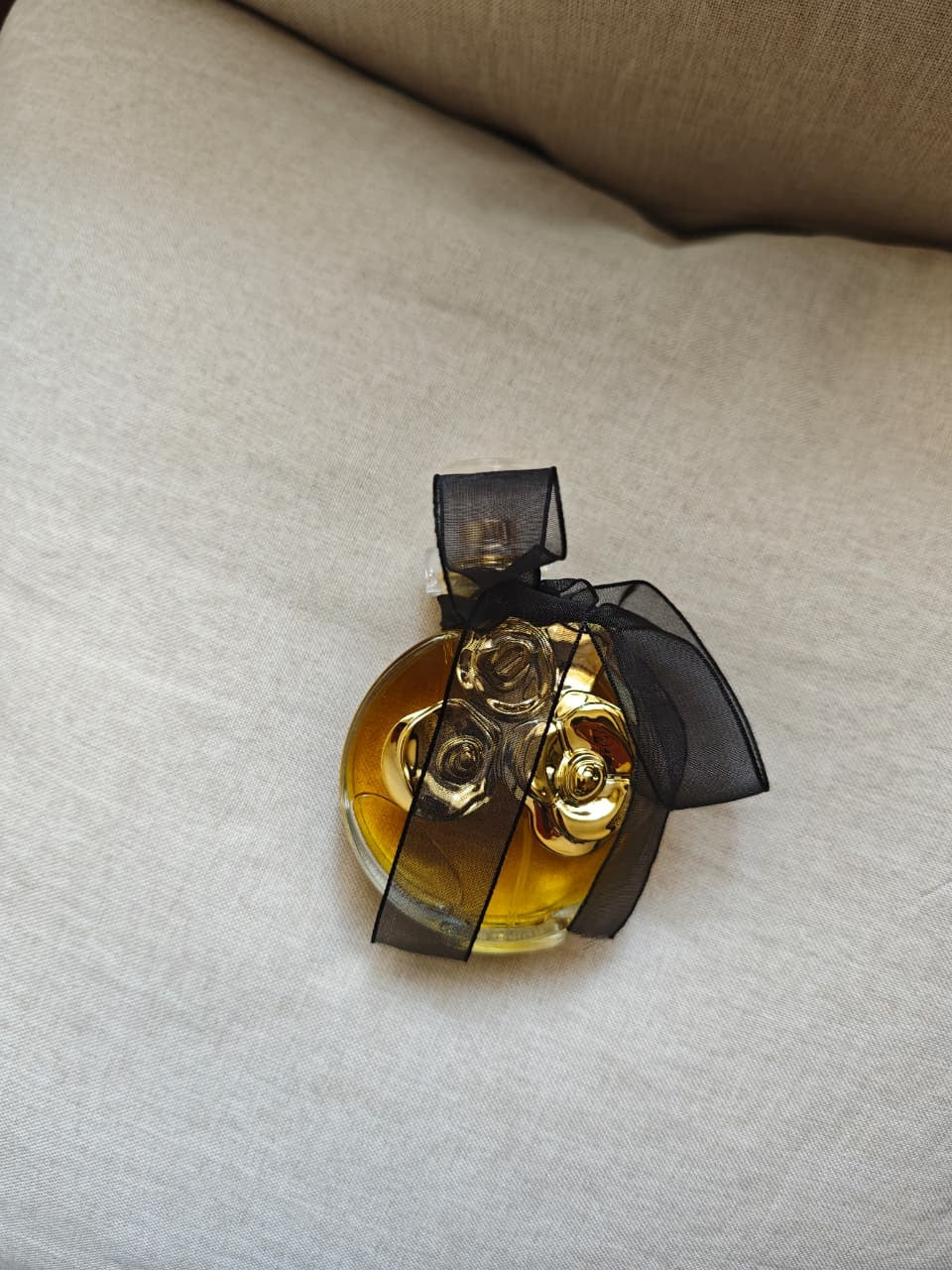 Sublime Golden Rose