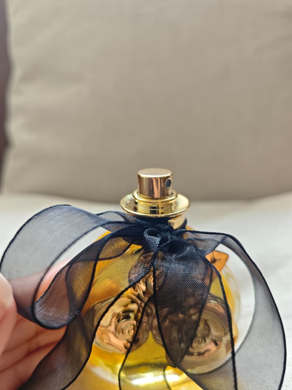 Sublime Golden Rose