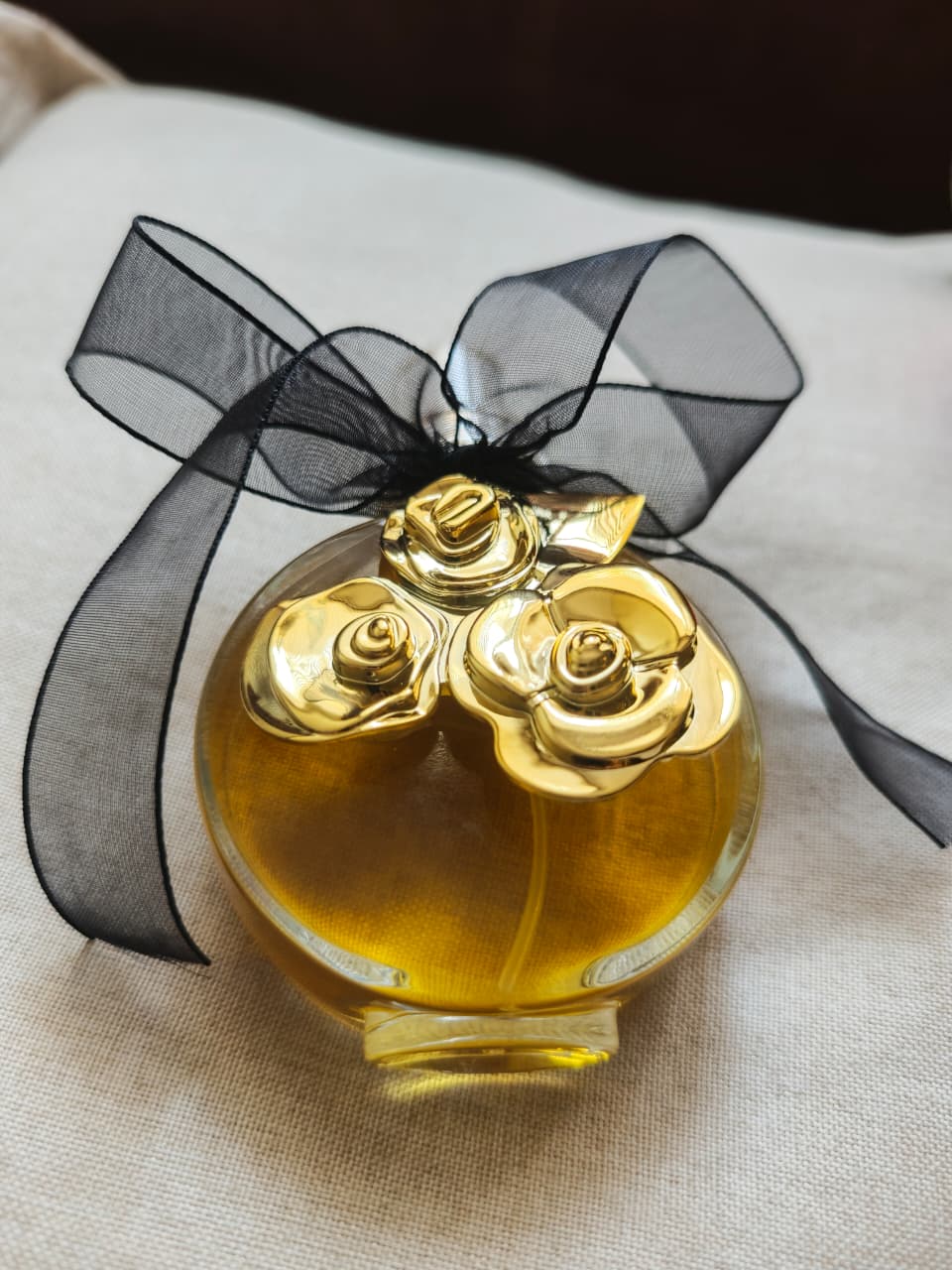 Sublime Golden Rose