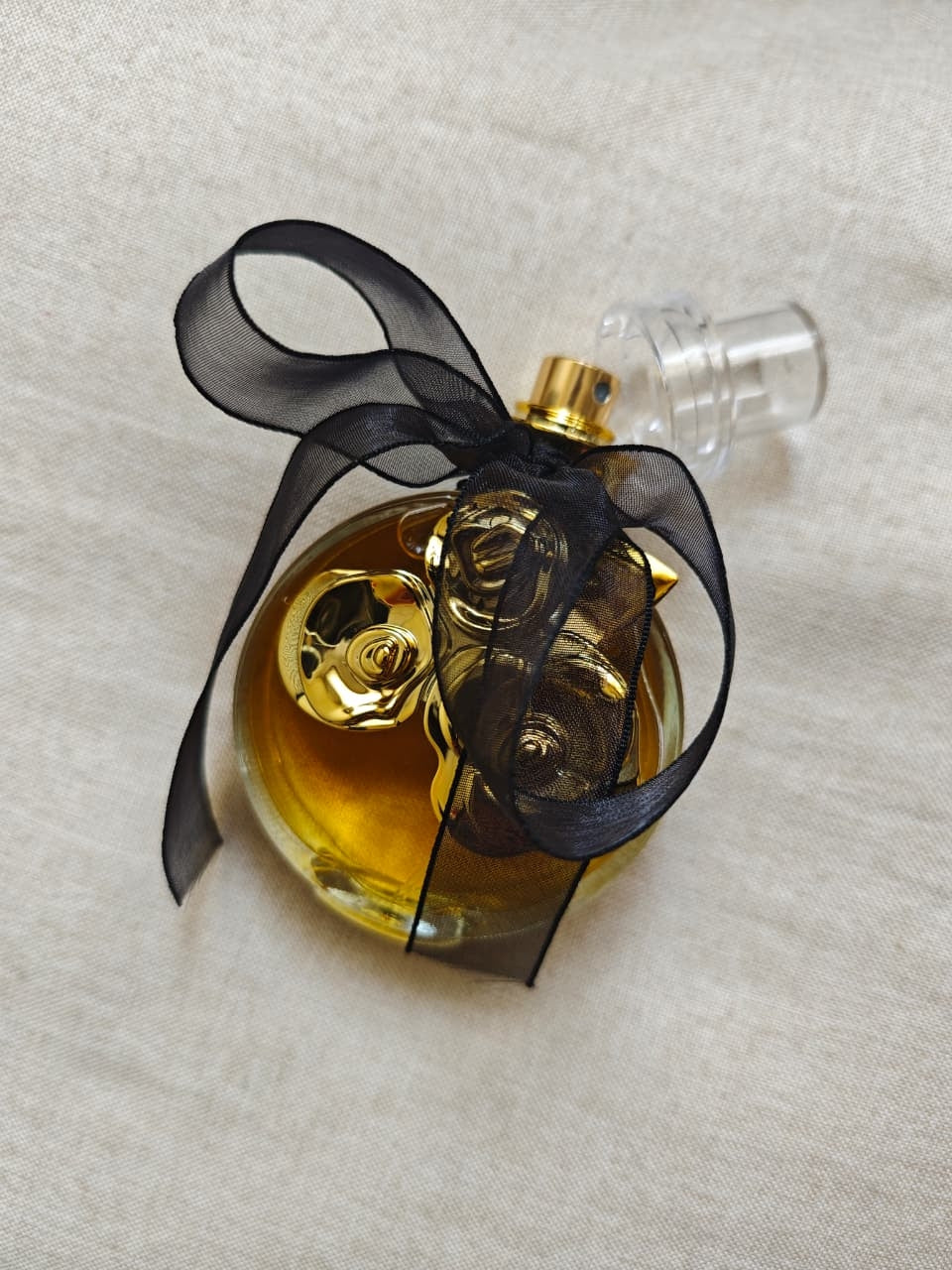 Sublime Golden Rose